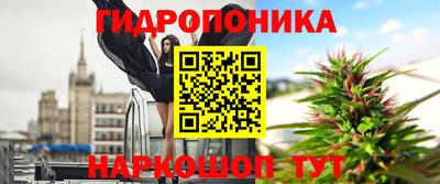 мяу мяу мука Новодвинск
