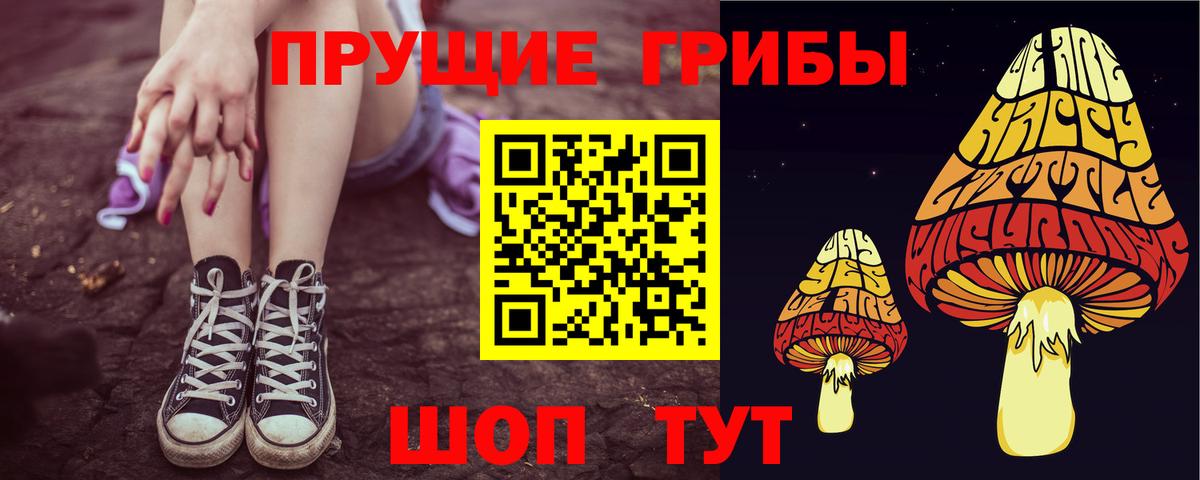 Галлюциногенные грибы Cubensis Якутск