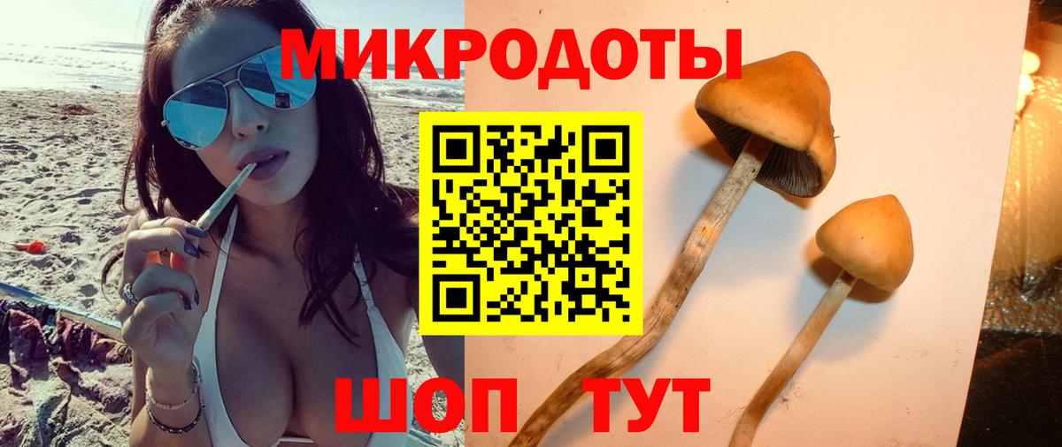 Якутск  Галлюциногенные грибы Psilocybe  Вход с VPN 
